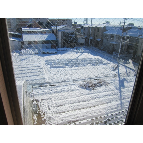 屋上園庭で雪あそびをしました。